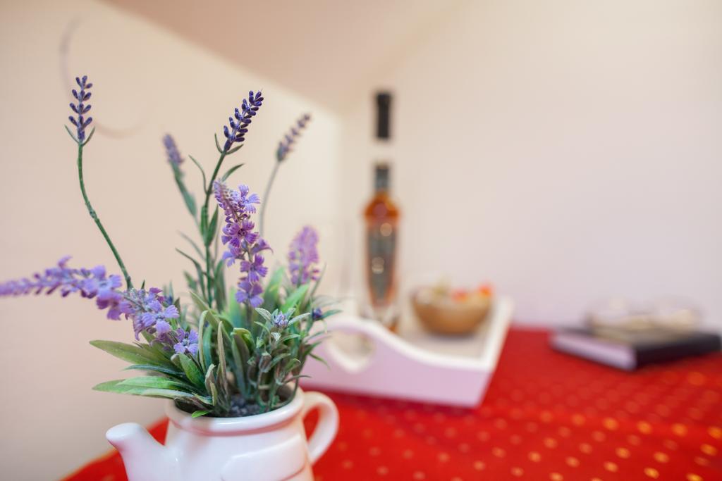 Angelus Apartments Dubrovnik Bagian luar foto