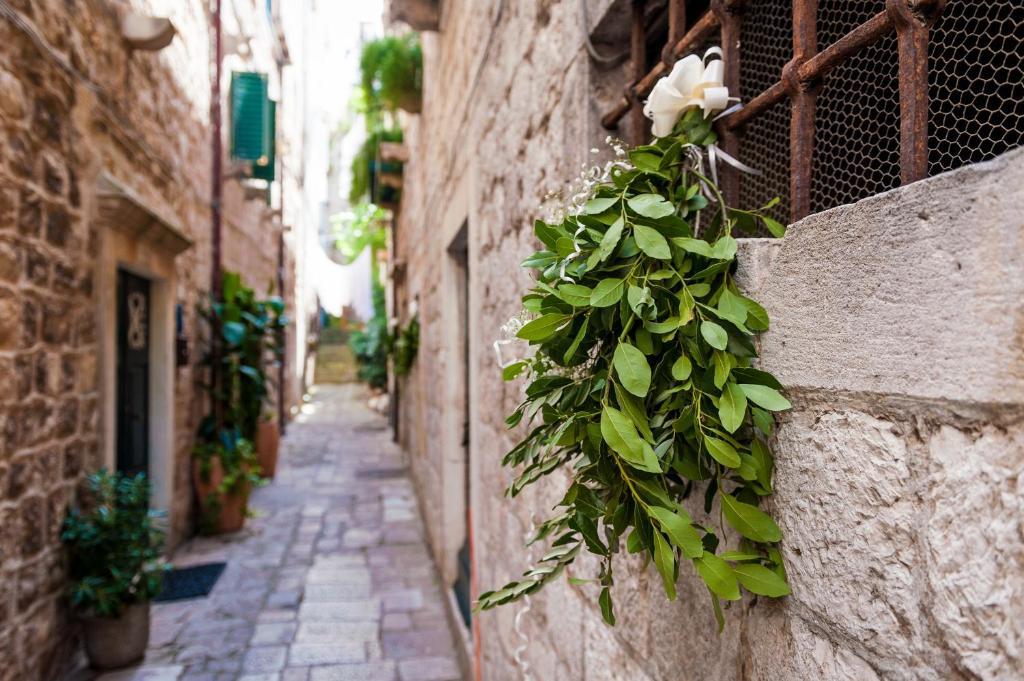 Angelus Apartments Dubrovnik Bagian luar foto